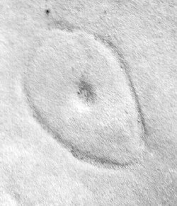 circleglyph.jpg (18711 bytes)
