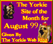 Received August 1999: Laumor Yorkies