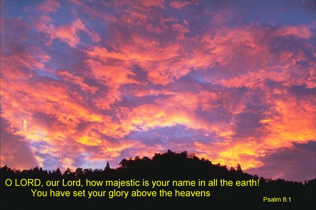 O LORD, our Lord, how majestic is your name in all the earth!