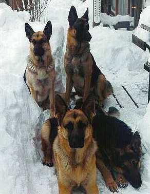 Deep Snow