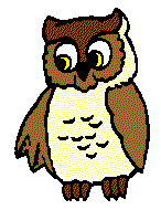 WINKING OWL