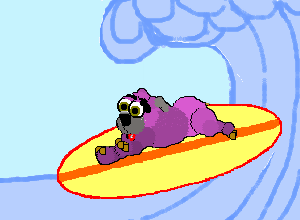 Dioji Surfing