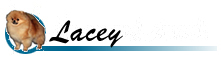 lacey