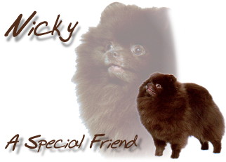 a special friend
