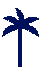 palm tree
