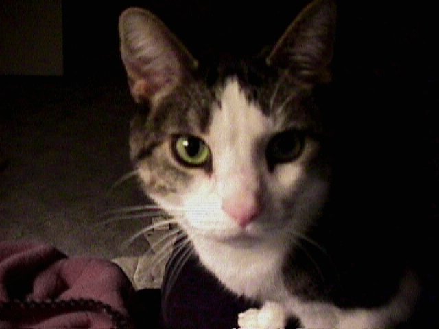 Cooper up close