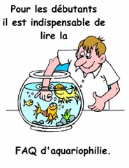 LIRE LA FAQ D'AQUARIOPHILIE