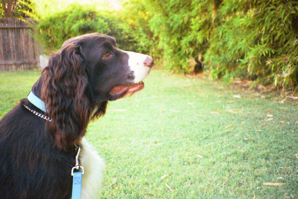 E profile