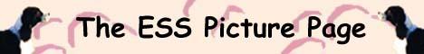 ESS Pic Pg Banner
