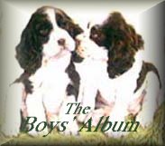 Boys' album button