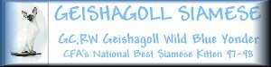 geishagoll siamese