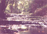Stream