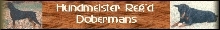 suebanner.jpg (9933 bytes)