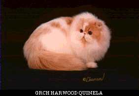 GRCH HARWOOD QUINELA