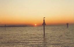 sunset.jpg (6813 bytes)