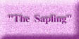The Sappling (8324 bytes)