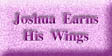Joshua Earns His Wings (8557 bytes)