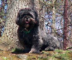 Just buried my bone!