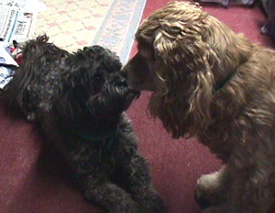 Getting To Know Kody!