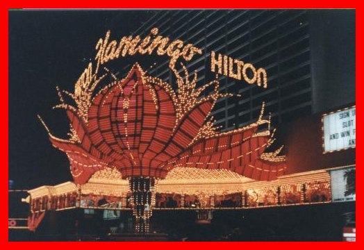 Flamingo