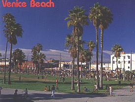 Venice beach
