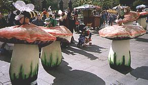 mushrooms