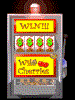 slots
