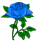 blue rose