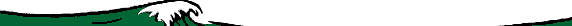 bar99.gif (10889 bytes)
