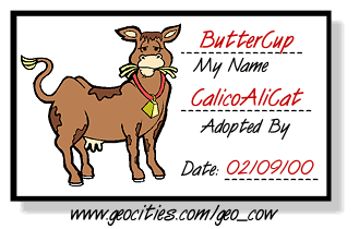 Butter Cup