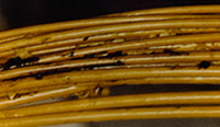 navywire.jpg (16023 bytes)