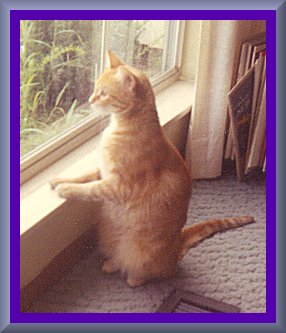 Miss Tabatha