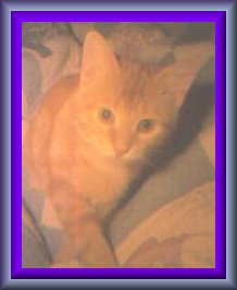 Miss Tinker