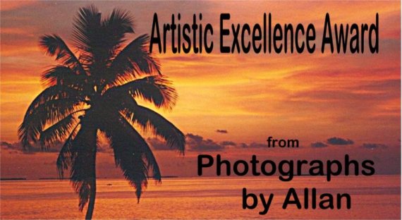 Photography By Allan