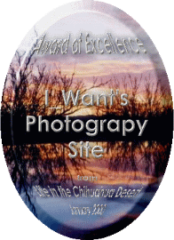 Lanning Family Homepage Award