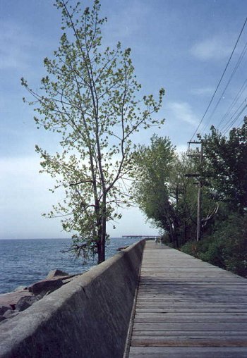I_want's Photography - Old Boardwalk 2 - 59 kbytes