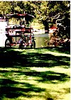I_want's Photo - Small Pedal Coach - Wards Island
