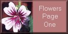 I_want's Photography - Flowers Page One