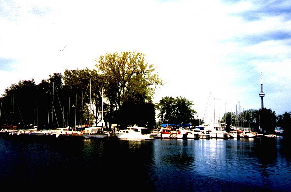 I_want's Photography - One of the many marina's on the Islands - 50 kbytes