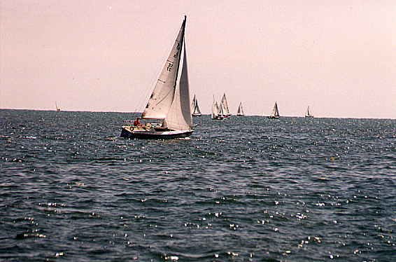 I_want's Photography - Sailboats on Lake Ontario