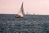 I_want's Photo - Sailboat on Lake Ontario