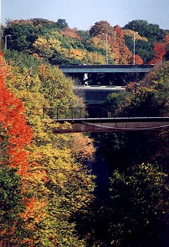 I_want's Photography - Trees & Bridge - 37 kbytes