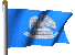 State Flag