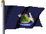 State Flag
