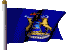 State Flag