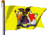 State Flag