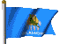 State Flag
