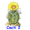 Cacti 2 