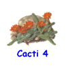 Cacti 4