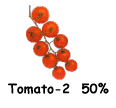 Tomato-2